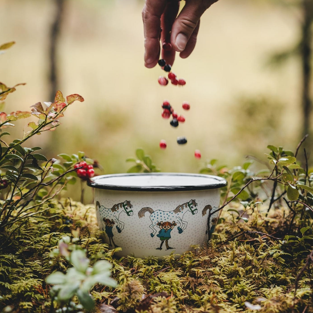 PIPPI Skål Pippi & Lilla Gubben 6DL